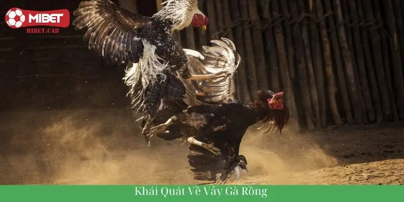 Khái quát về vảy gà rồng